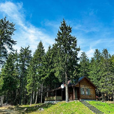 Natura Haziko Izvoare  Bagian luar foto