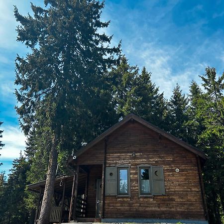 Natura Haziko Izvoare  Bagian luar foto