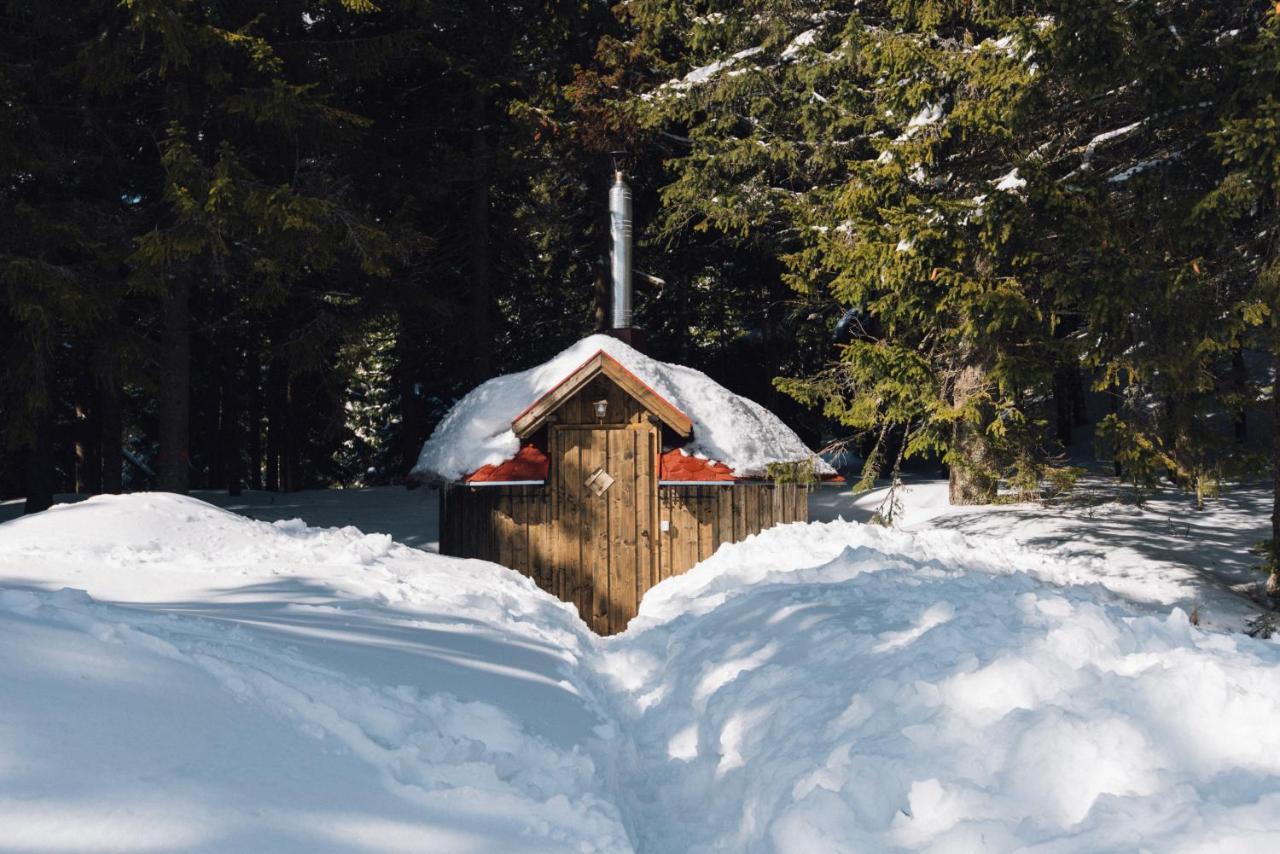 Natura Haziko Izvoare  Bagian luar foto