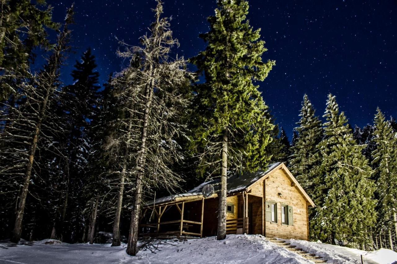 Natura Haziko Izvoare  Bagian luar foto