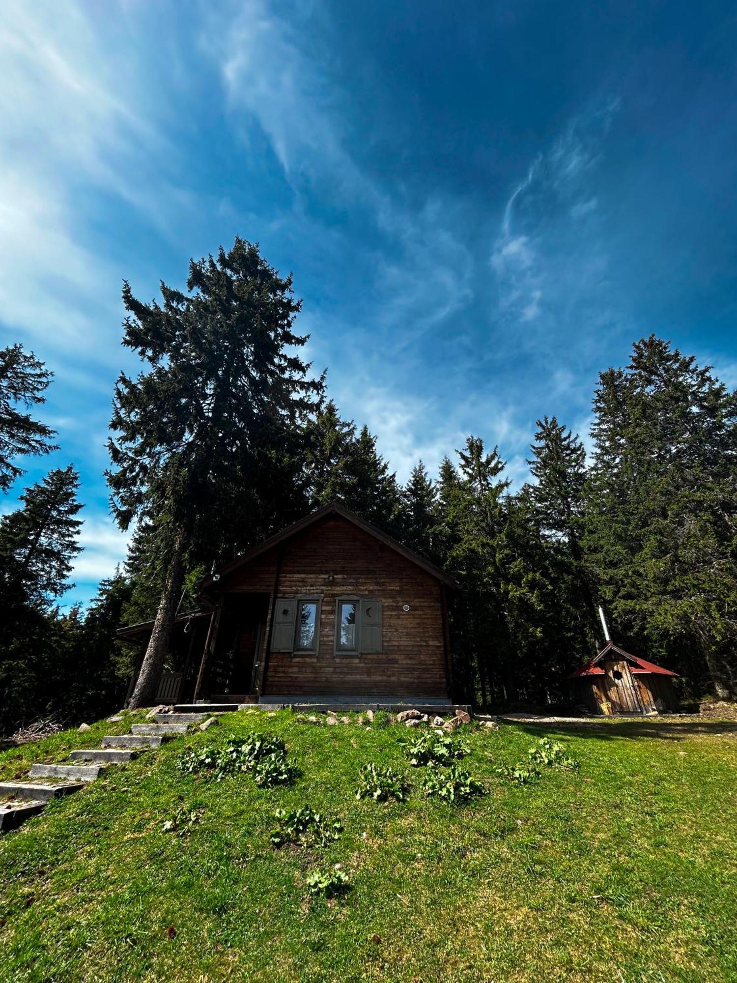 Natura Haziko Izvoare  Bagian luar foto