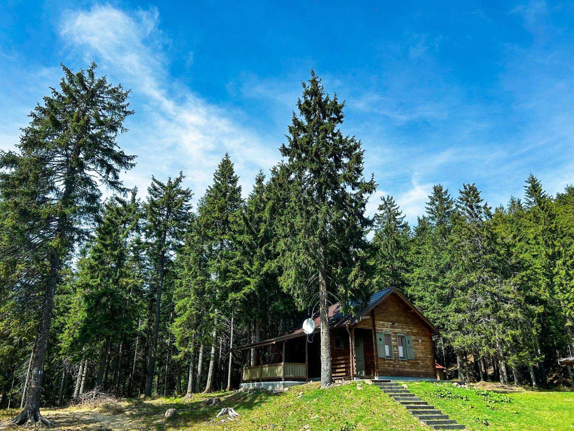 Natura Haziko Izvoare  Bagian luar foto