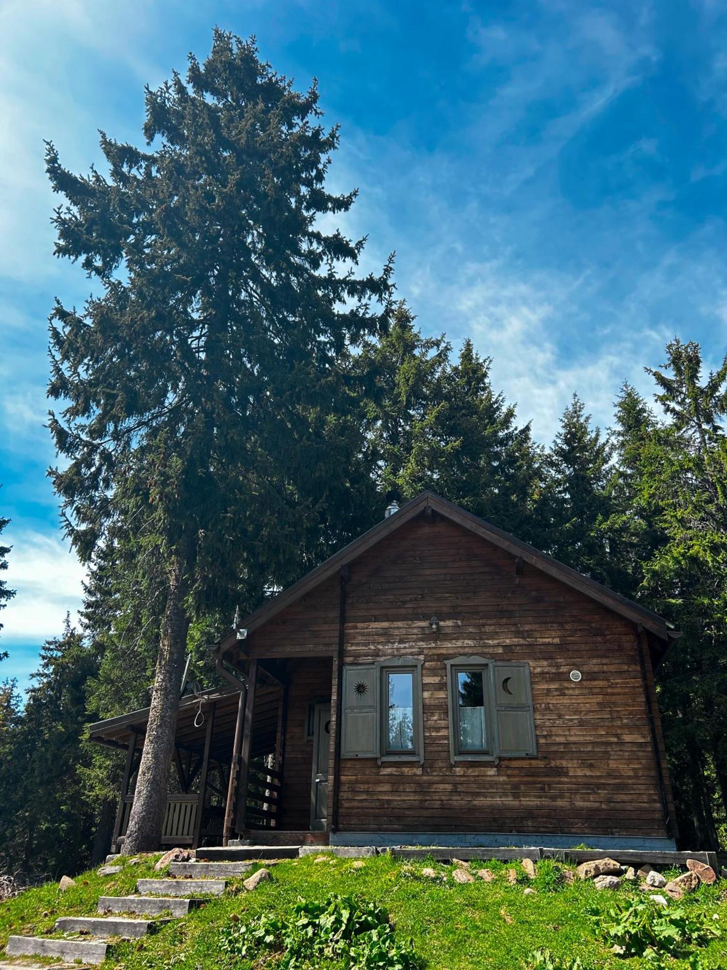 Natura Haziko Izvoare  Bagian luar foto